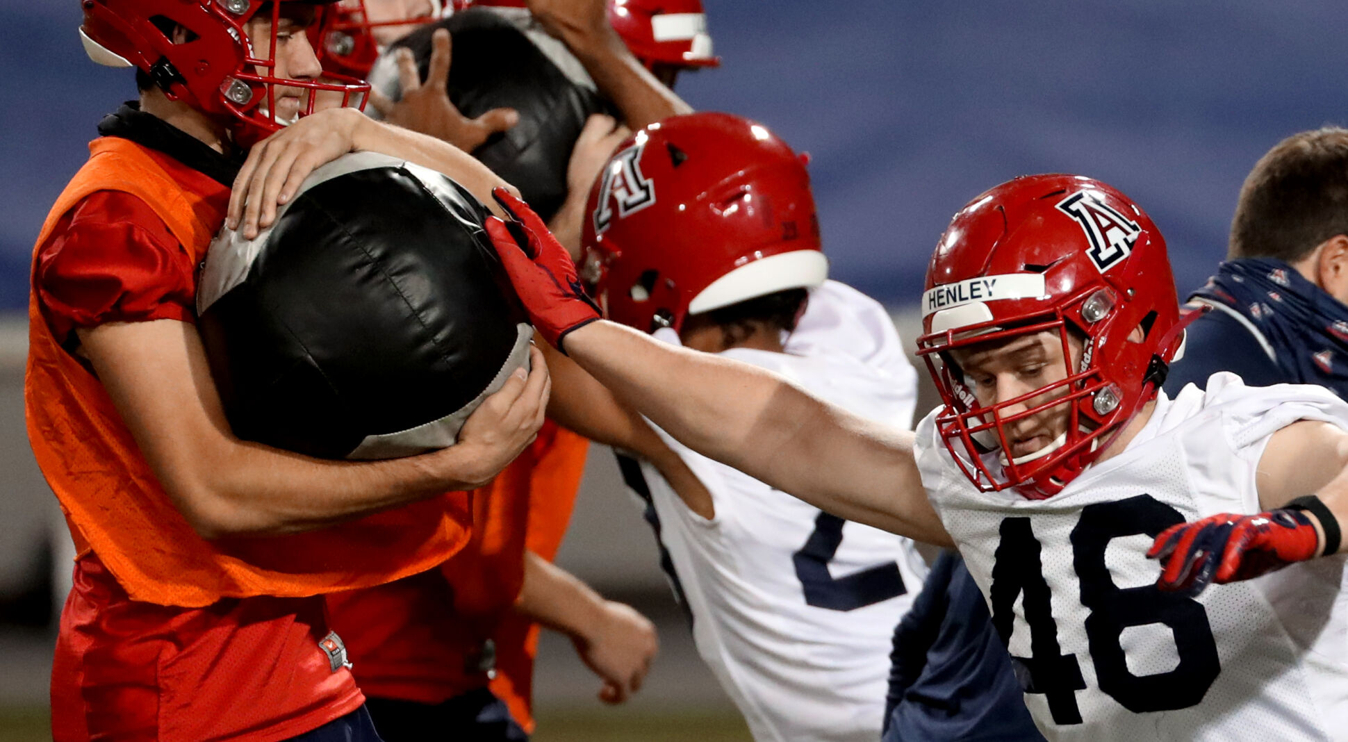Arizona Wildcats